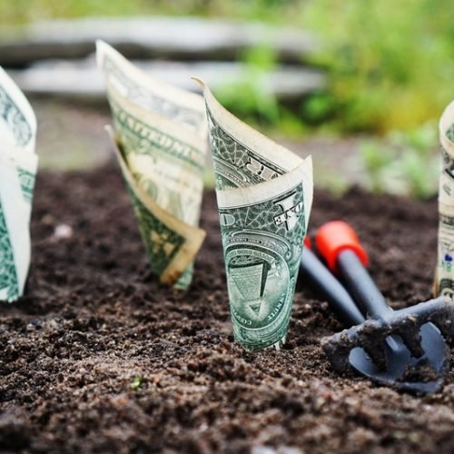 Indicadores Fundamentalistas: 10 Métricas Essenciais para Investir em Ações com Segurança